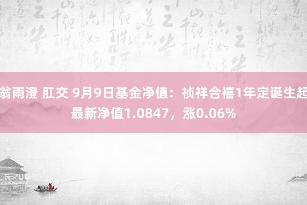 翁雨澄 肛交 9月9日基金净值:祯祥合禧1年定诞生起最新净值1.0847,涨0.06%