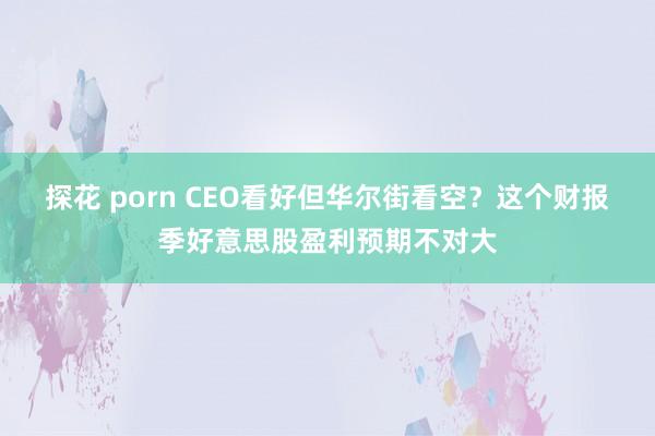 探花 porn CEO看好但华尔街看空?这个财报季好意思股盈利预期不对大