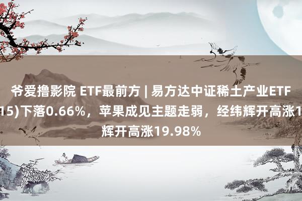 爷爱撸影院 ETF最前方 | 易方达中证稀土产业ETF(159715)下落0.66%,苹果成见主题走弱,经纬辉开高涨19.98%