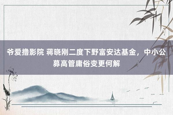 爷爱撸影院 蒋晓刚二度下野富安达基金,中小公募高管庸俗变更何解
