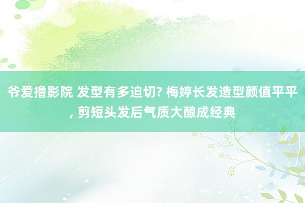 爷爱撸影院 发型有多迫切? 梅婷长发造型颜值平平, 剪短头发后气质大酿成经典