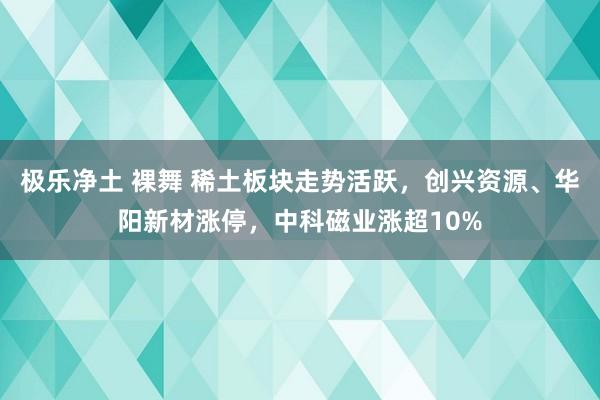 极乐净土 裸舞 稀土板块走势活跃,创兴资源、华阳新材涨停,中科磁业涨超10%