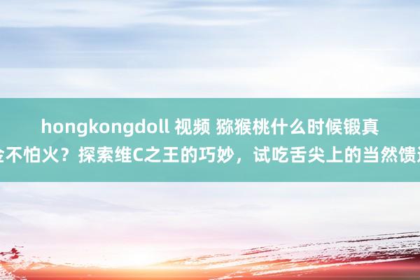 hongkongdoll 视频 猕猴桃什么时候锻真金不怕火?探索维C之王的巧妙,试吃舌尖上的当然馈送
