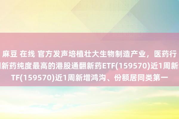 麻豆 在线 官方发声培植壮大生物制造产业,医药行业增长笃定性凸起,翻新药纯度最高的港股通翻新药ETF(159570)近1周新增鸿沟、份额居同类第一