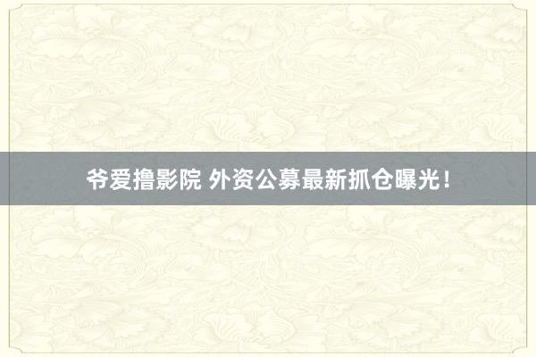 爷爱撸影院 外资公募最新抓仓曝光!
