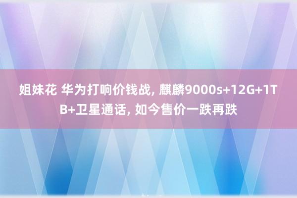 姐妹花 华为打响价钱战, 麒麟9000s+12G+1TB+卫星通话, 如今售价一跌再跌