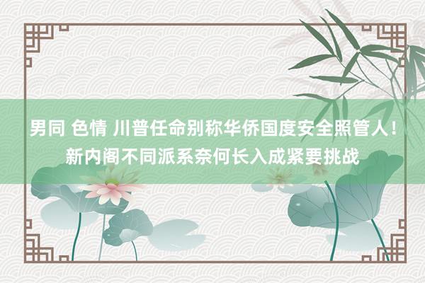 男同 色情 川普任命别称华侨国度安全照管人！新内阁不同派系奈何长入成紧要挑战