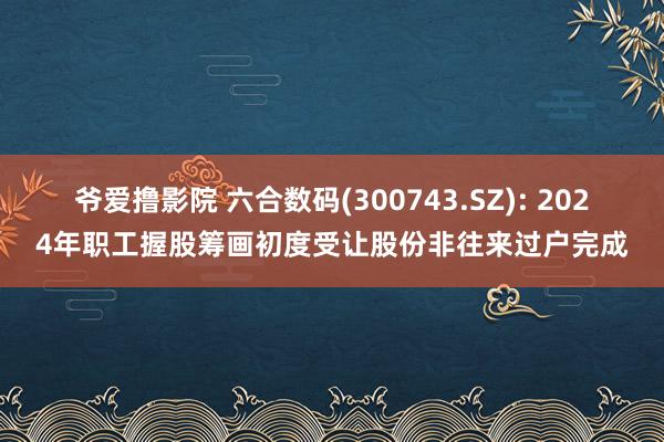 爷爱撸影院 六合数码(300743.SZ): 2024年职工握股筹画初度受让股份非往来过户完成