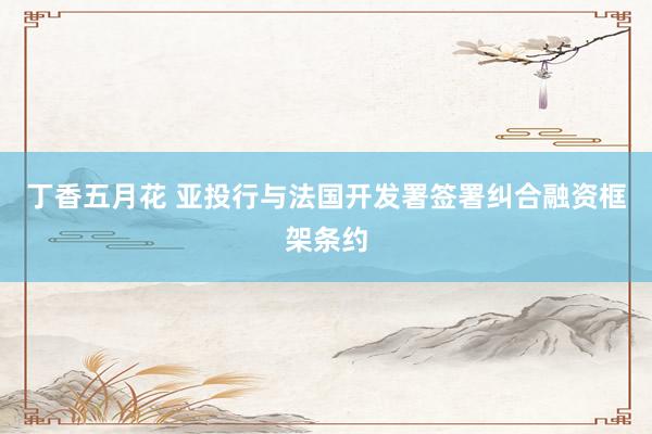 丁香五月花 亚投行与法国开发署签署纠合融资框架条约