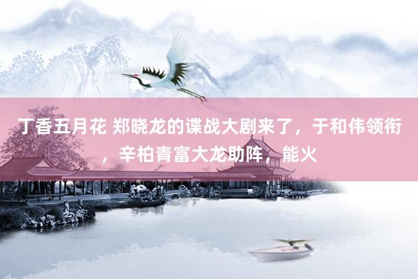 丁香五月花 郑晓龙的谍战大剧来了,于和伟领衔,辛柏青富大龙助阵,能火