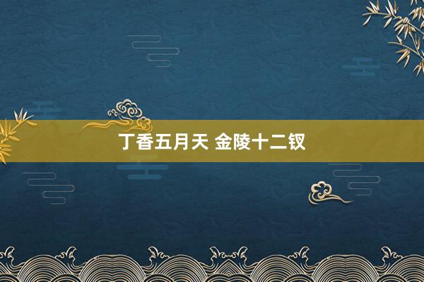 丁香五月天 金陵十二钗