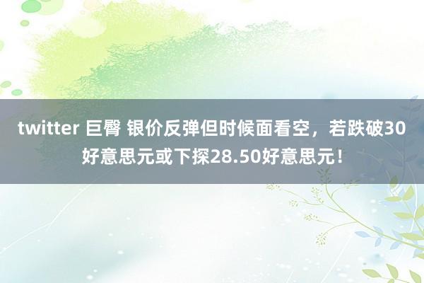 twitter 巨臀 银价反弹但时候面看空,若跌破30好意思元或下探28.50好意思元!