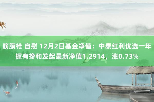 筋膜枪 自慰 12月2日基金净值：中泰红利优选一年握有搀和发起最新净值1.2914，涨0.73%
