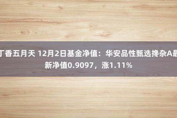 丁香五月天 12月2日基金净值:华安品性甄选搀杂A最新净值0.9097,涨1.11%