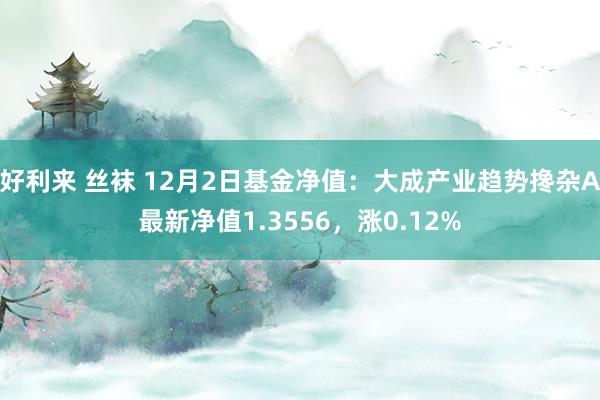 好利来 丝袜 12月2日基金净值:大成产业趋势搀杂A最新净值1.3556,涨0.12%