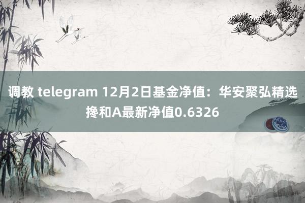 调教 telegram 12月2日基金净值：华安聚弘精选搀和A最新净值0.6326