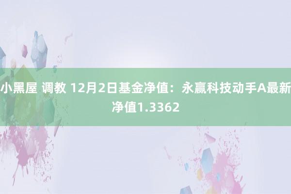 小黑屋 调教 12月2日基金净值:永赢科技动手A最新净值1.3362