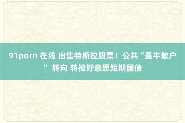 91porn 在线 出售特斯拉股票!公共“最牛散户” 转向 转投好意思短期国债