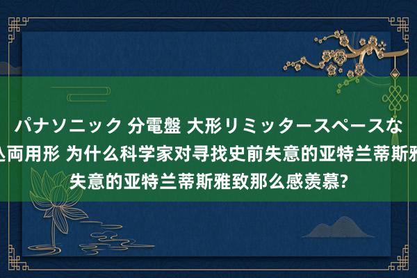 パナソニック 分電盤 大形リミッタースペースなし 露出・半埋込両用形 为什么科学家对寻找史前失意的亚特兰蒂斯雅致那么感羡慕?