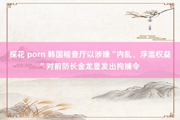 探花 porn 韩国稽查厅以涉嫌“内乱、浮滥权益”对前防长金龙显发出拘捕令