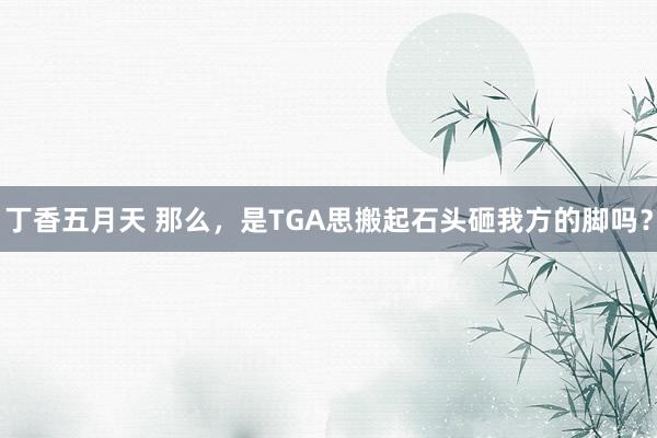 丁香五月天 那么,是TGA思搬起石头砸我方的脚吗?