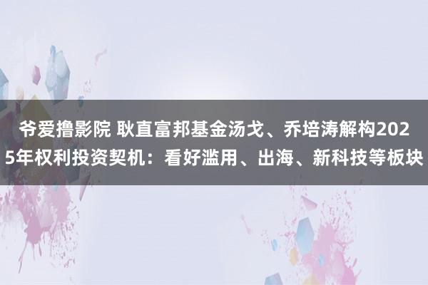 爷爱撸影院 耿直富邦基金汤戈、乔培涛解构2025年权利投资契机:看好滥用、出海、新科技等板块