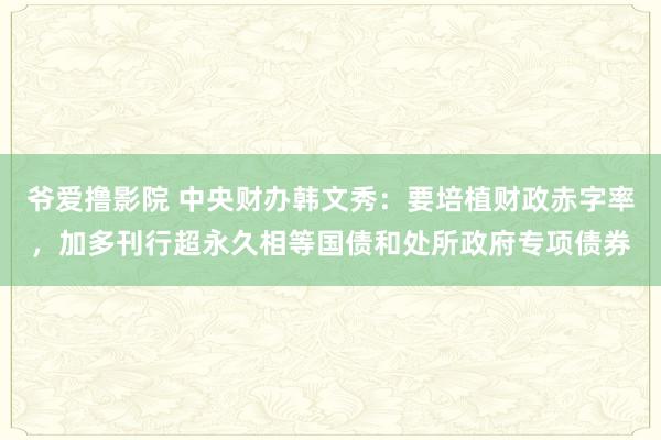 爷爱撸影院 中央财办韩文秀:要培植财政赤字率,加多刊行超永久相等国债和处所政府专项债券
