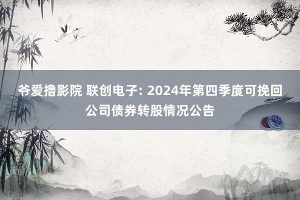 爷爱撸影院 联创电子: 2024年第四季度可挽回公司债券转股情况公告