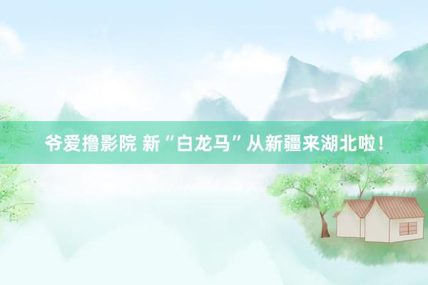 爷爱撸影院 新“白龙马”从新疆来湖北啦！