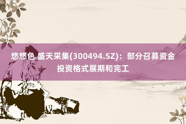 悠悠色 盛天采集(300494.SZ)：部分召募资金投资格式展期和完工