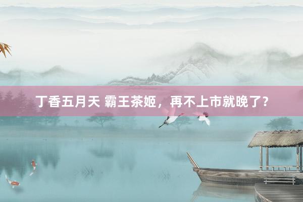 丁香五月天 霸王茶姬，再不上市就晚了？